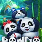 Panda icon